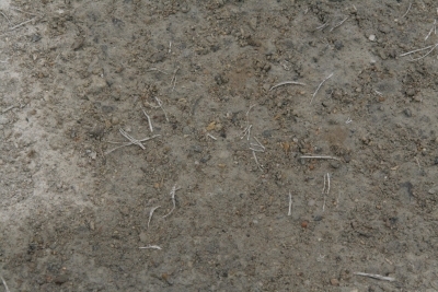 detail polypropylénové rozptýlené výztuže v základové betonové desce, tato výztuž nahradila ocelovou síť a byla zvolena proto, aby výztuž v desce pod domem nenarušovala přirozené geomagnetické pole země