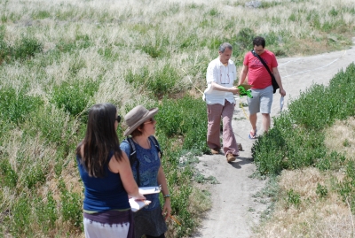 waldorf_school_architecture_participative_design_observing_property_Reno (13)