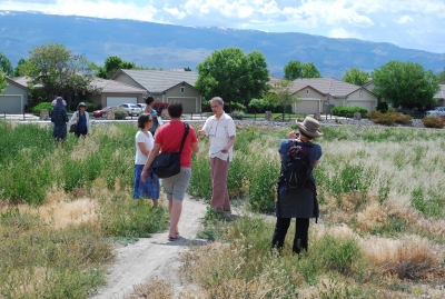 waldorf_school_architecture_participative_design_observing_property_Reno (15)